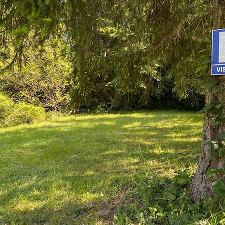 "Aux Chants Des Oiseaux" Domaine De La Renardiere Les Grandes-Loges Eksteriør billede