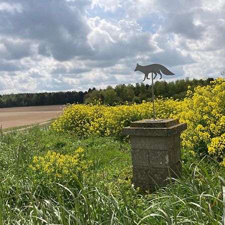 "Aux Chants Des Oiseaux" Domaine De La Renardiere Les Grandes-Loges Eksteriør billede