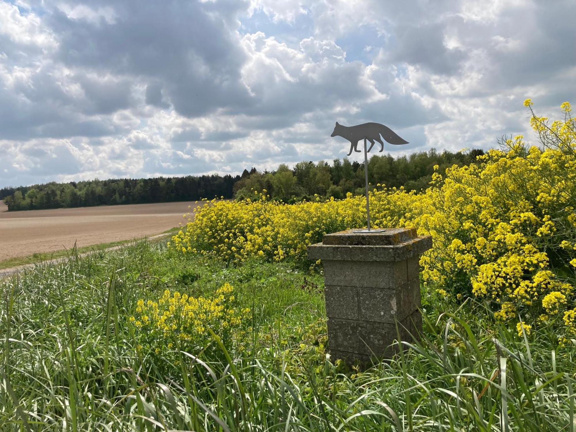 "Aux Chants Des Oiseaux" Domaine De La Renardiere Les Grandes-Loges Eksteriør billede