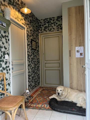 "Aux Chants Des Oiseaux" Domaine De La Renardiere Les Grandes-Loges Eksteriør billede